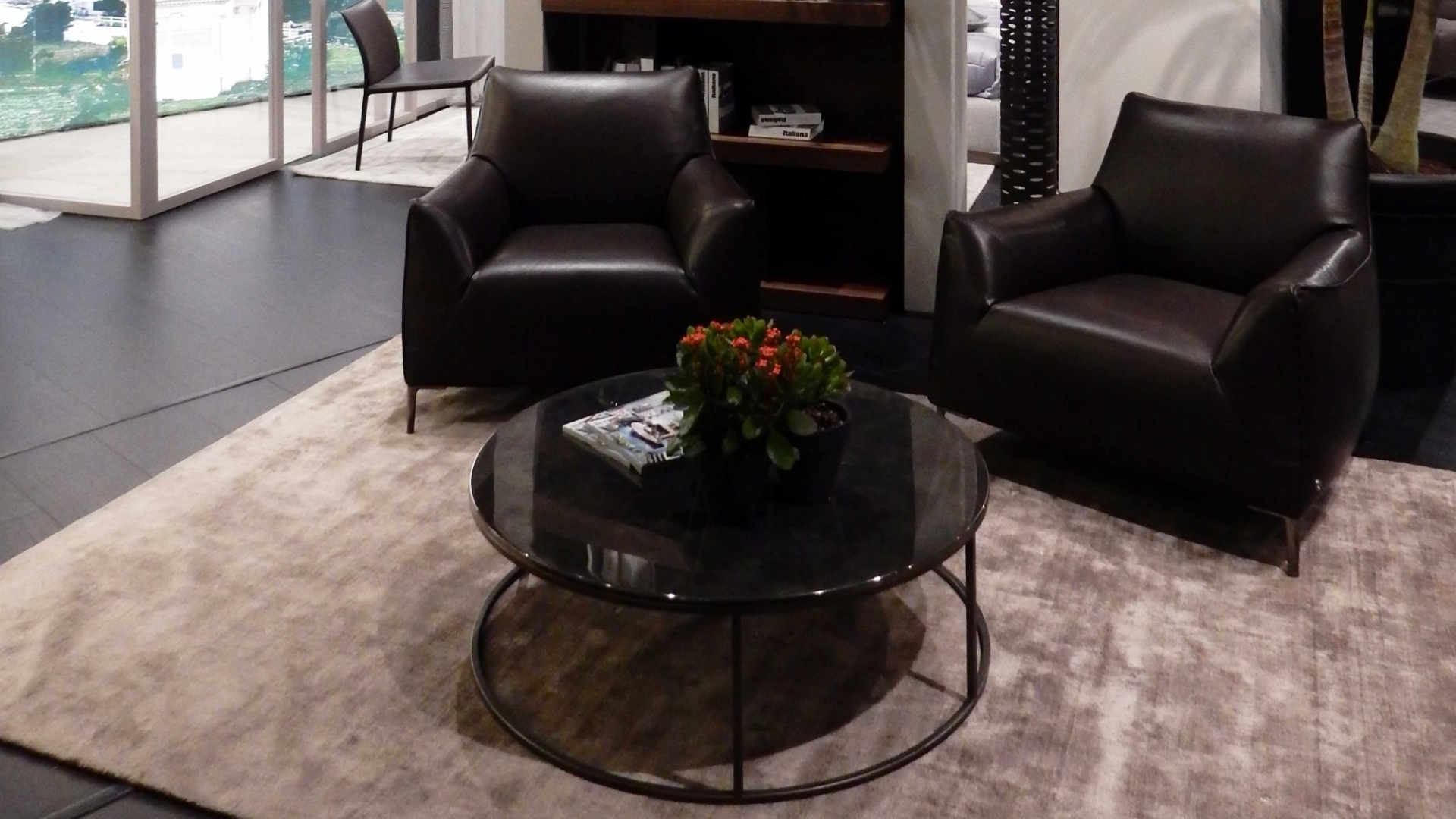 1508119722880377.jpg dolly.jpg