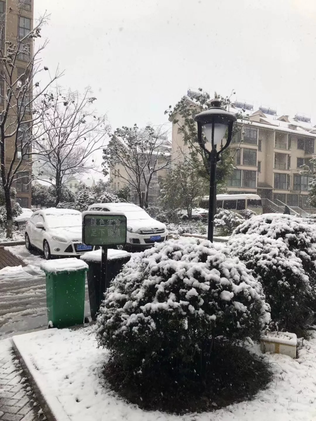 1515987548527055.jpg 640.webp (1).jpg