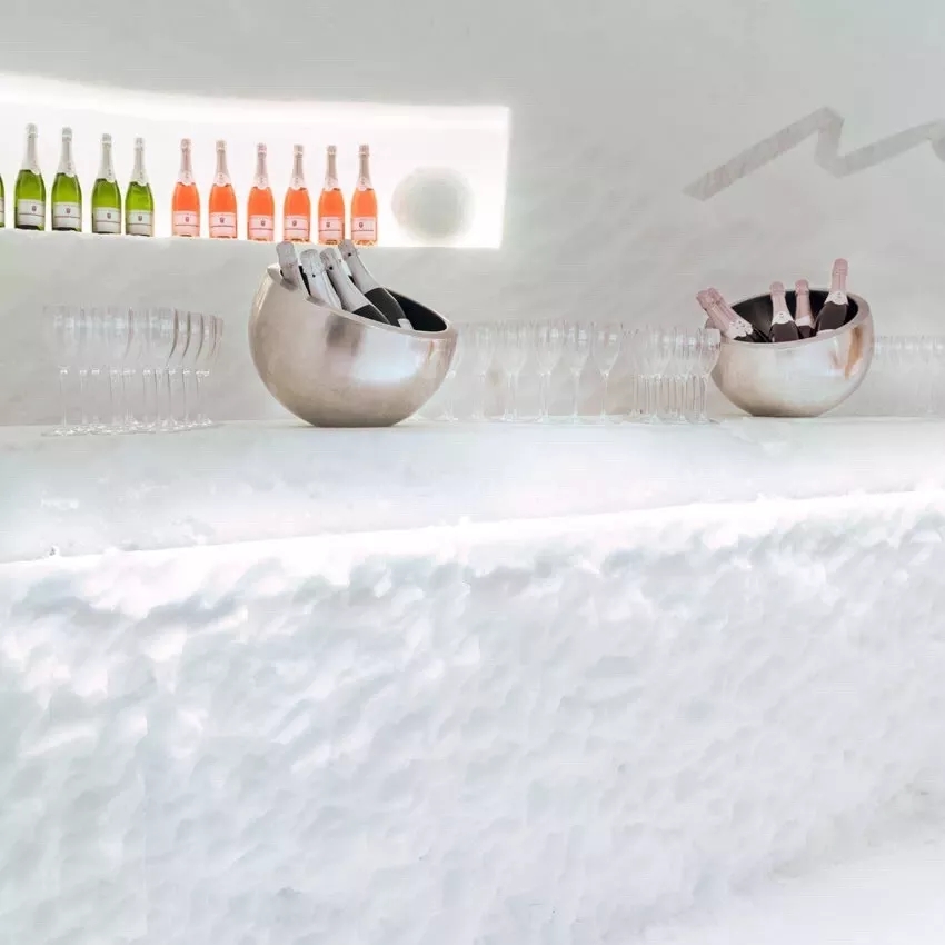 1515987644272256.jpg 640.webp (7).jpg