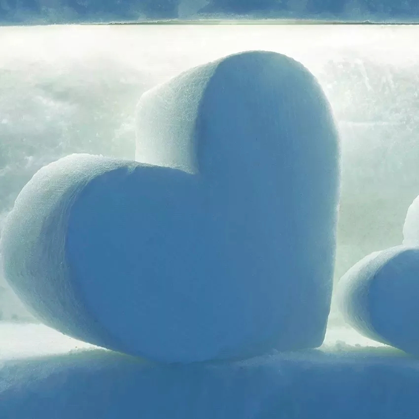 1515987678808587.jpg 640.webp (9).jpg