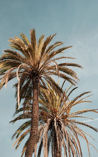 1713337273770275.jpg 2.jpg