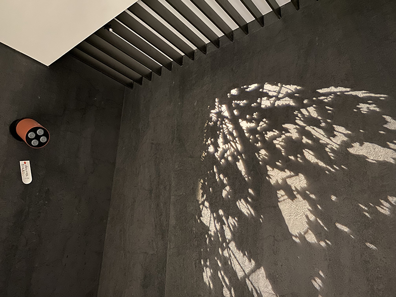 1734503436442821.jpg IMG_6727.jpg