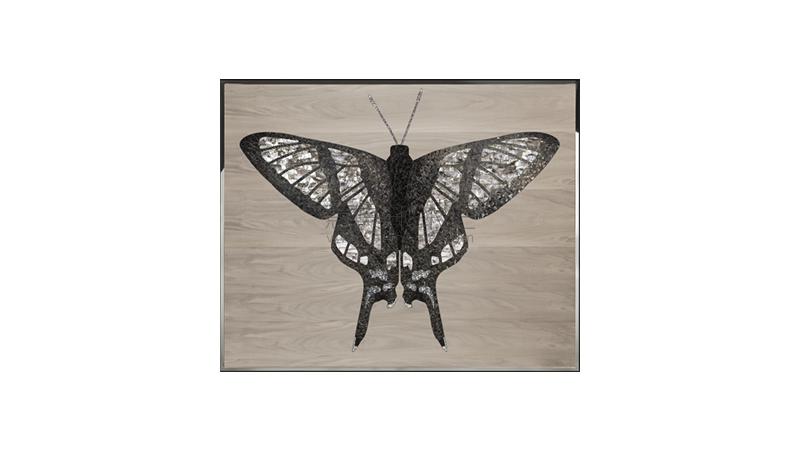 Danaus藝術(shù)畫