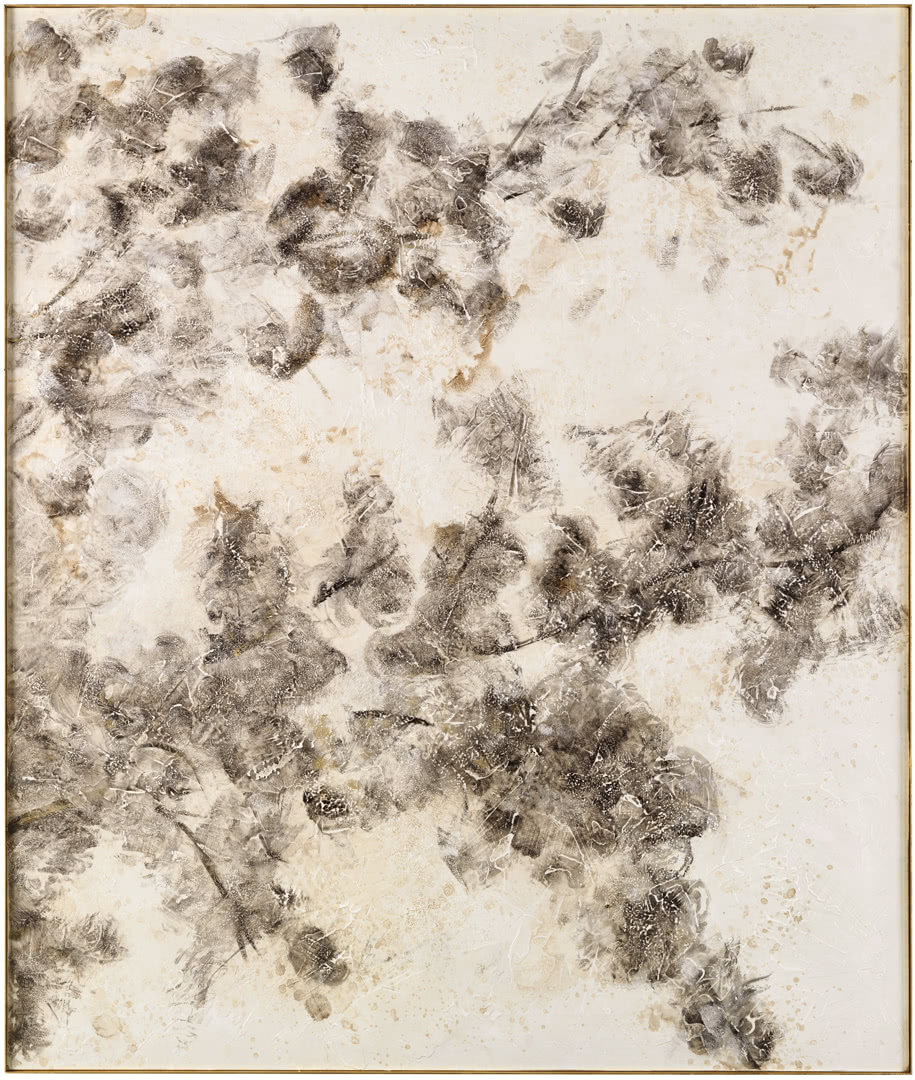 CANTORIFLOWERING畫(huà)