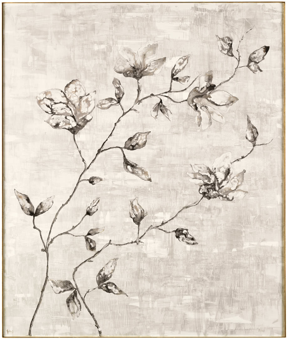 CANTORISPRING畫(huà)