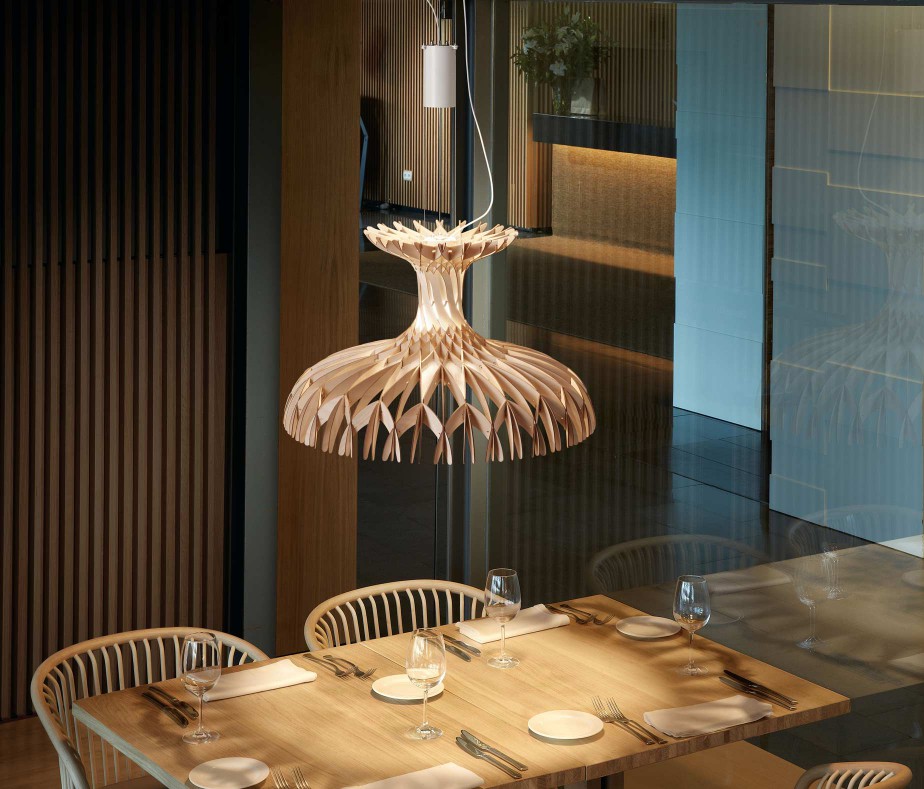 Pendant Dome60  02吊燈