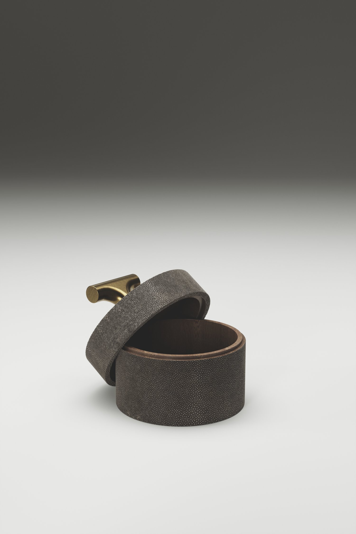 R&Y AugoustiRamo Box盒子