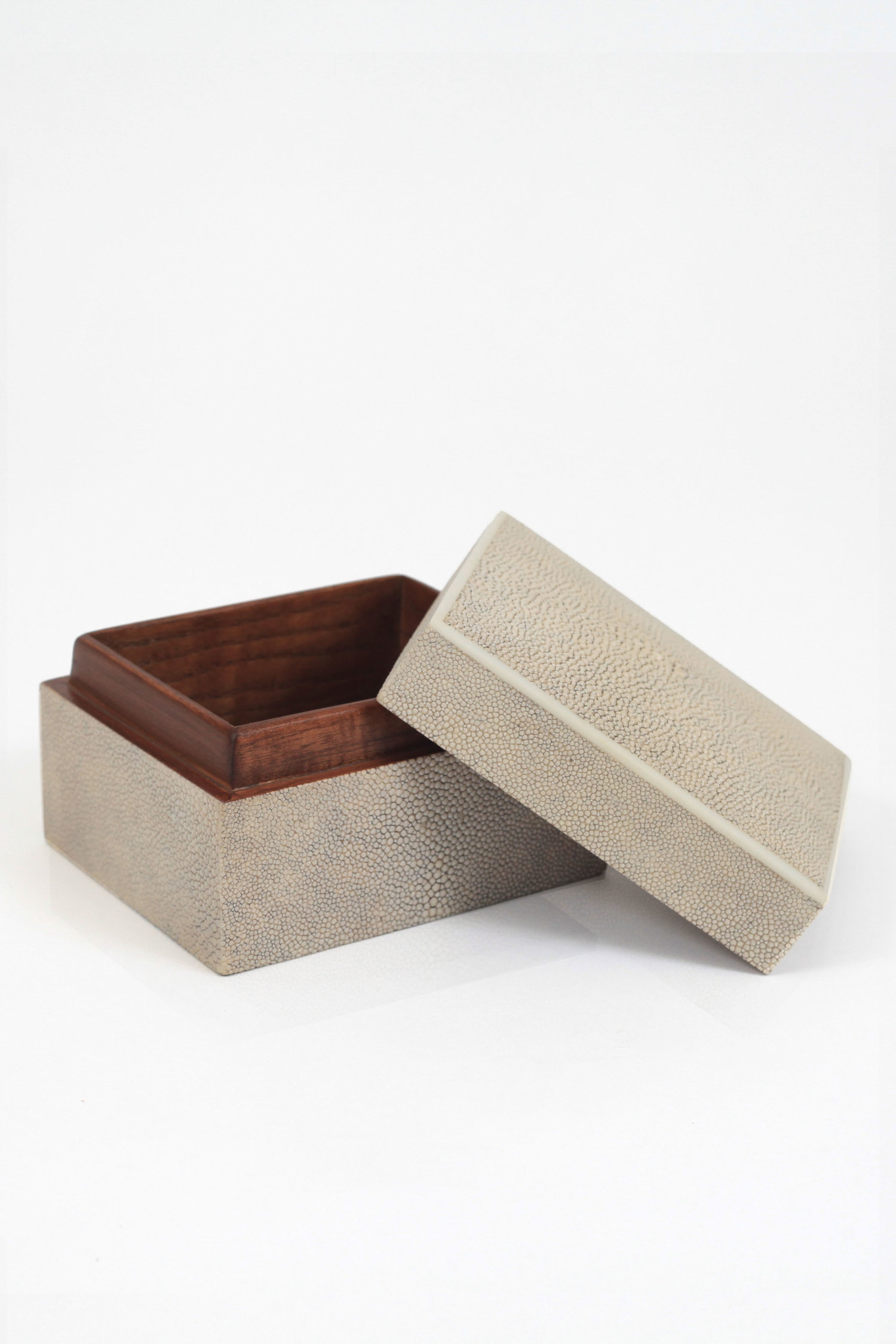 R&Y AugoustiCurved Top Box盒子